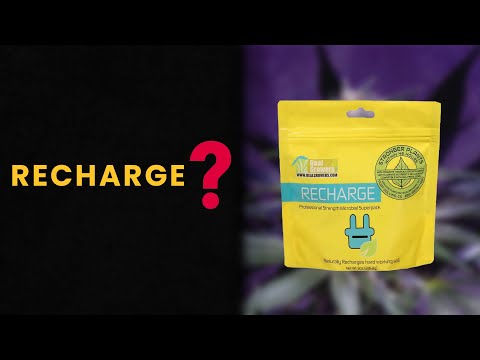 RECHARGE - Is It REALLY Worth It?