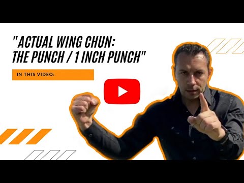 Do you practice actual Wing Chun??? (Episode. 3) Τhe Punch / 1 Inch Punch
