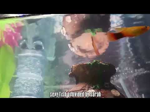 The Snow Plow Show Episode 786 - Remote Monitoring Smart Meters