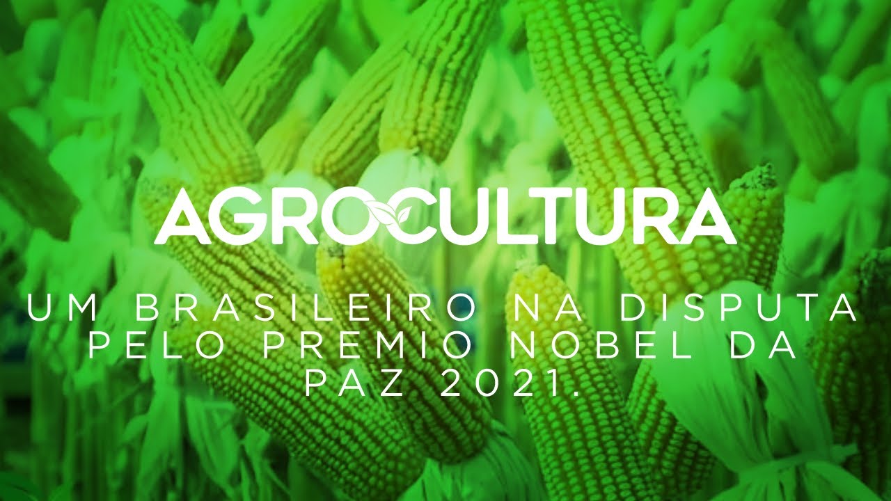 A revolução verde que transformou o Brasil em potencia agrícola | AgroCultura