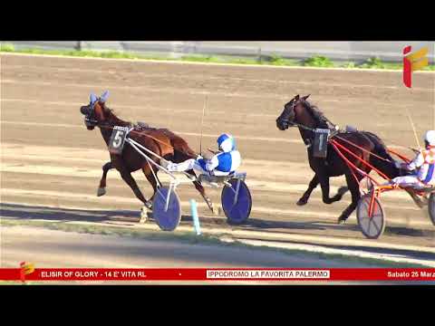 VII Corsa del 25 marzo 2023 - 3 Anni - Metri 1600