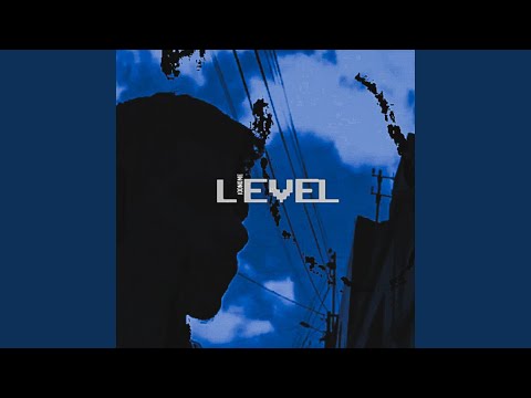 Level