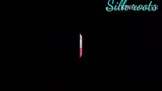 Silk Roots-2018 Pune