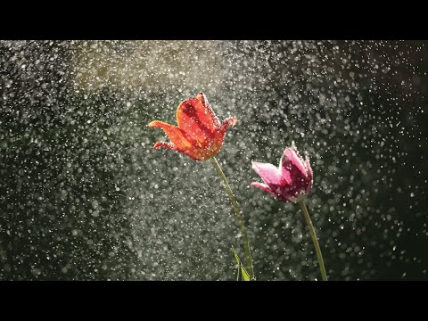 Best of Progressive 01