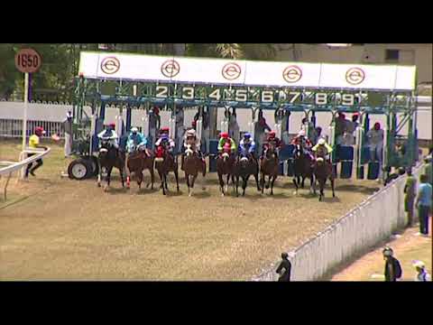 RM27 R3 | Star Of Zeus | C.Segeon