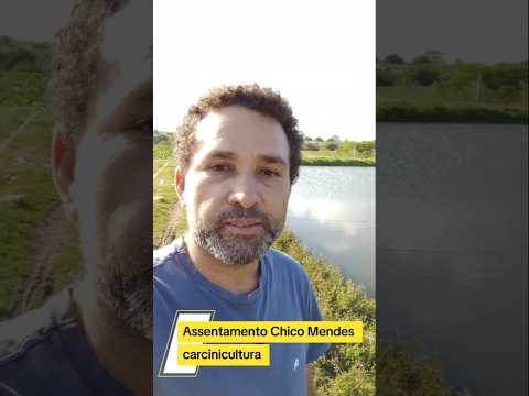 Criação de Camarão #vidanaroça #agriculturaregenerativa #sitio #pescaria