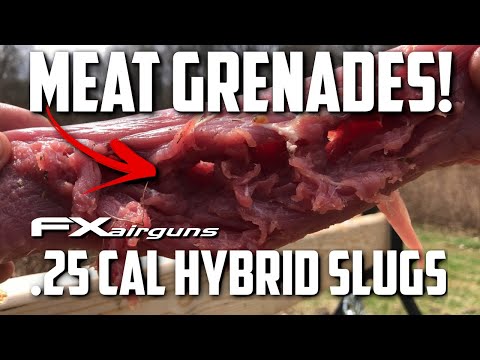 FX Dreamline 25 cal Hybrid Slugs = Airgun Meat Grenades!