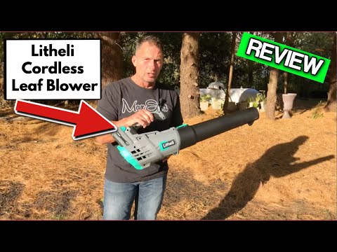 Litheli Cordless Leaf Blower 40V, Battery Leaf Blowers for Lawn Care, Lightweight Axial Blower for B