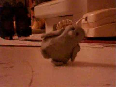 mr penguin test stop motion