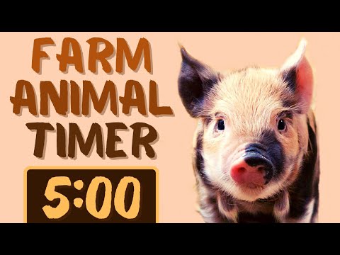 5 Minute Timer for Classroom with Music for Kids | Cute Farm Animal Countdown