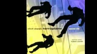 Elliott Sharp's Terraplane, special guest Hubert Sumlin - They say we is