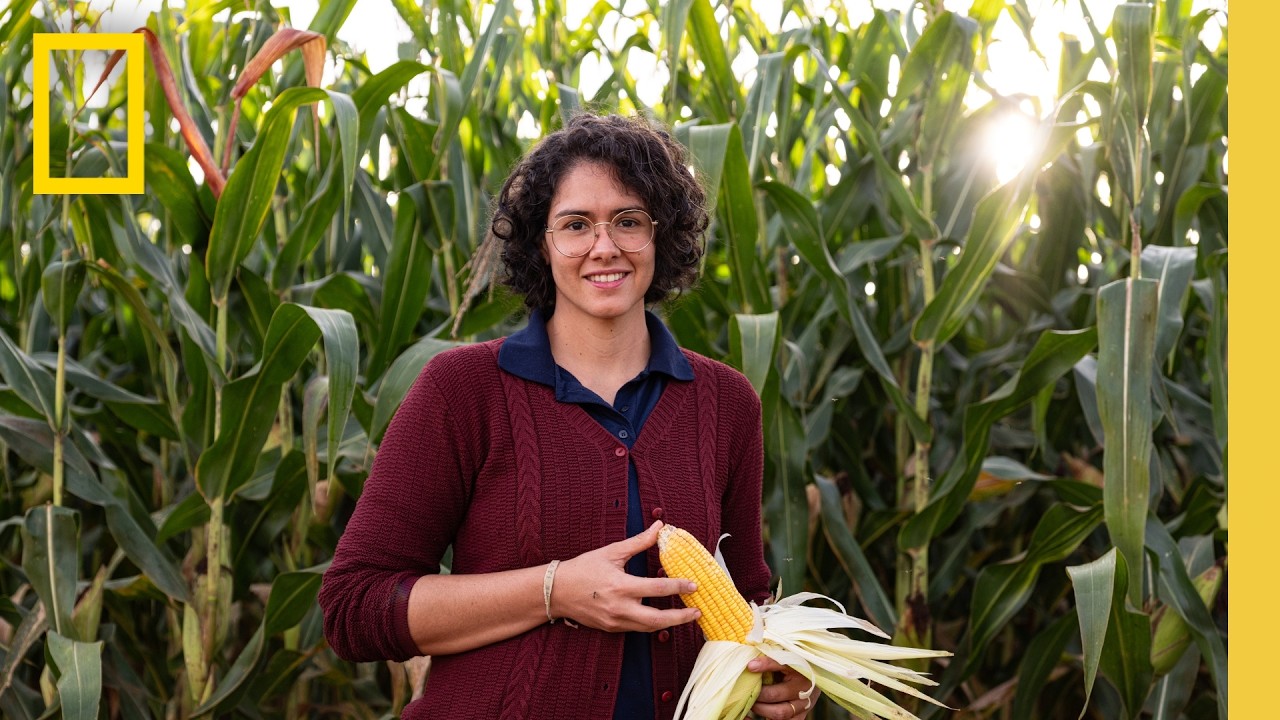 Regeneration in Action | Building Legacy in Brazil | National Geographic