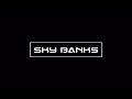 SkyBanks Oochie Wally Remix