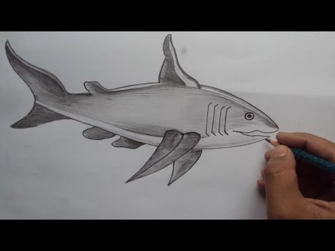 Mountains and Pine Tress Watercolor Pencil Landscape Drawing | steps to follow