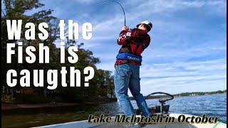 秋の釣行 Lake Mclntosh!/Fall fishing in Lake Mclntosh!