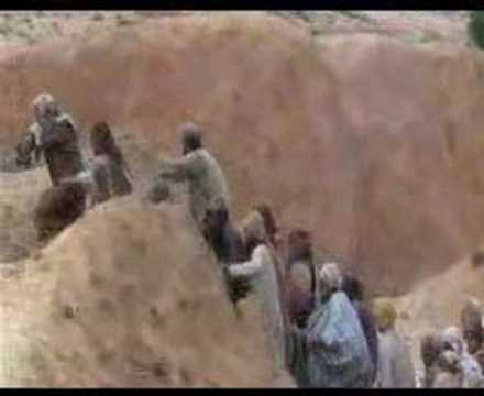 download lagu mp3 mp4 Whole Juniper Berries, download lagu Whole Juniper Berries gratis, unduh video klip Whole Juniper Berries