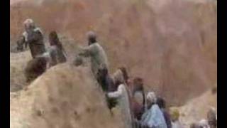 Monty Python-Juniper Bush Clip