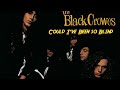 The Black Crowes - Could I've Been so Blind /Lyrics and Sub Español