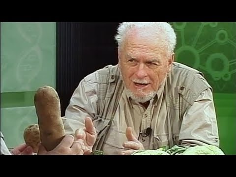 Verdictul stiintei: Creatie 9.5 - Se aplica evolutia speciilor si selectia naturala?