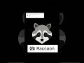 Raccoon