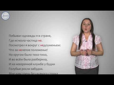 Правописание НЕ с именами существительными