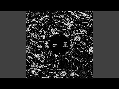 Lariat (Visionist Remix)