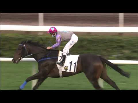 6/2/2021 (411) My Sugar - Z Purton