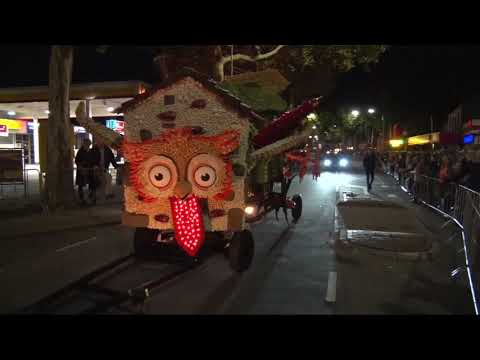 Fruitcorso by night in Tiel - de hele versie