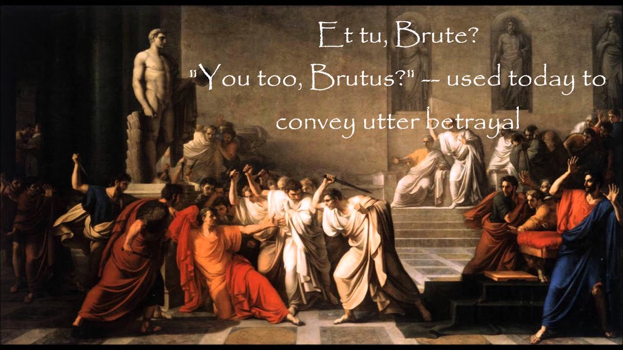 Latin Phrases Everyone Should Know | COM 125