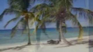 Monster Rally - Don't forget (Music Video)