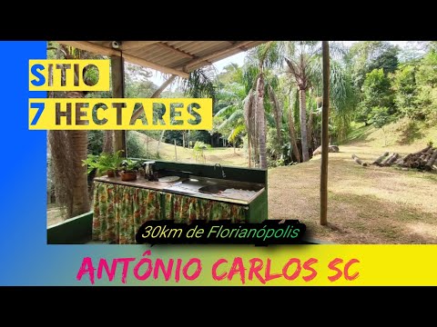 SÍTIO em Antônio Carlos SC - 7 hectares