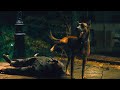 John Wick 4 Dog Peeing Scene | Best Funniest Sence in John Wick: Chapter 4