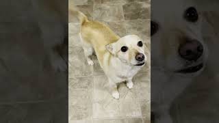 Unknown Channel - Unmatched Adventures: Tales to Amaze video thumbnail