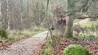 Bolinder-Munktell T 430 wheel tractor | Image 4 - Agroline