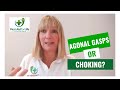 Agonal Gasps What Are They