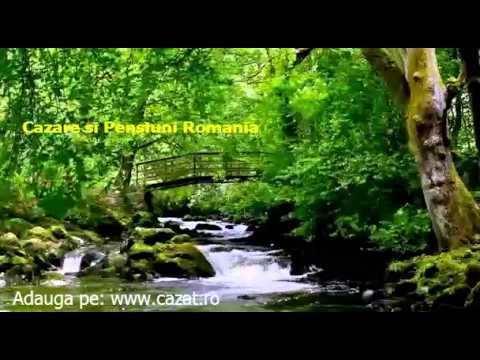 Cazare Santioana de Mures, Mures - Cazat.ro