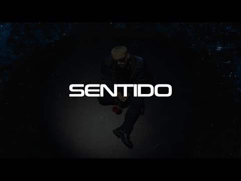 Alex Rose, Wisin & Yandel - Sentido | ENR (Visualizer)
