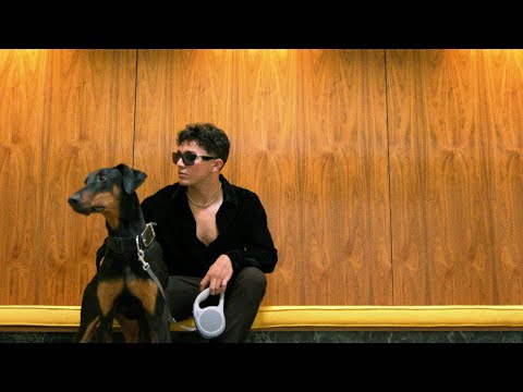 Roman Rouge - I Understand (Official Visualizer)