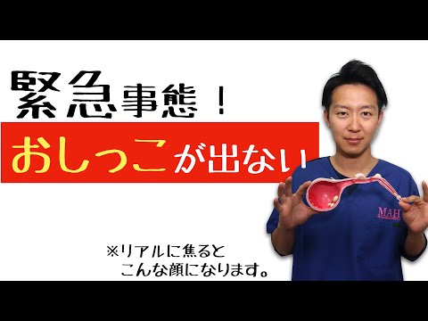 うちの猫がおしっこが出ない - 原因