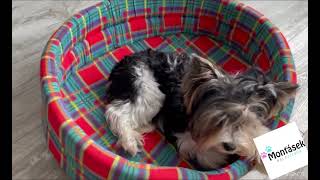 Pelíšek pro psa látkový