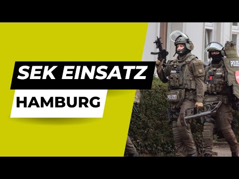 Mann mutmaßlich mit Schusswaffe bedroht: SEK-Einsatz in Hamburg