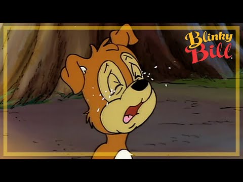BLINKY BILL AND THE LOST PUPPY - Episode 10 - Season 2 - The Adventures of Blinky Bill