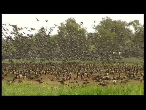 Travel Oz: Breathtaking Kakadu Preview