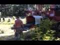Best Cape Cod Tree Removal Cutters Fellers Compant Services Barnstable Yarmouth Osterville MA