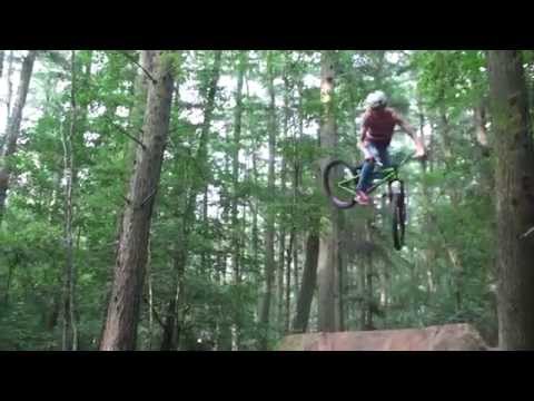 Summer Edit - Alexis D'heer