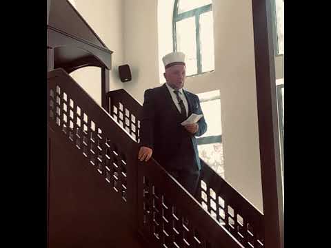 Rinia jonë e ekspozuar ndaj dashakeqëve