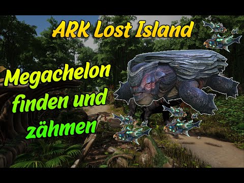 Lost Island Megachelon & Fisch Schwarm Fundort - So zähmt Ihr sie