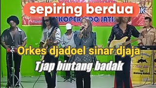 Download lagu sepiring berdua ida laila cover orkes sinar djaja tjap bintang badak  #dangdutjadul #dangdutlawas mp3