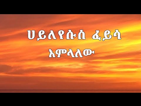 Hayleyesus Feysa - Emlalew | ሀይለየሱስ ፈይሳ - እምላለው ( Lyrics video )