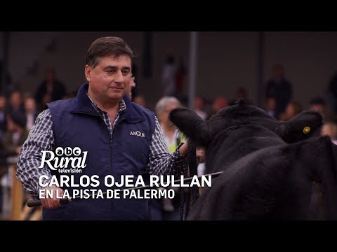 Carlos Ojea Rullan: En la pista de palermo la clave es el respaldo productivo.